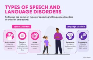 Infographic titled "Types of Speech and Language Disorders" showing icons for articulation, fluency, and voice speech disorders, and receptive and expressive language disorders, with illustrations of a clinician and child.